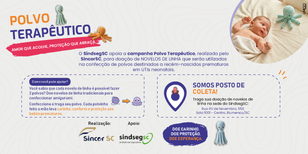 Informe SindsegSC