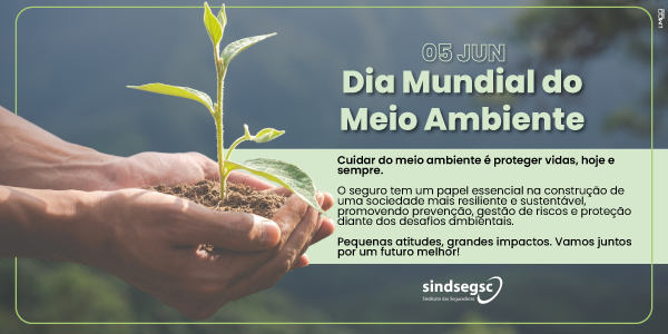 Informe SindsegSC